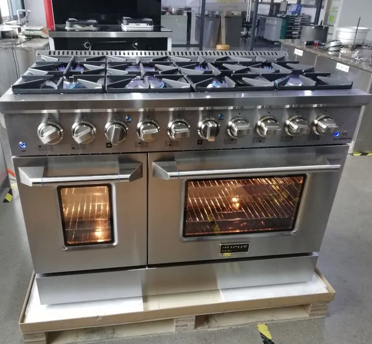 Domestic electric stove and oven photographed for appliance service